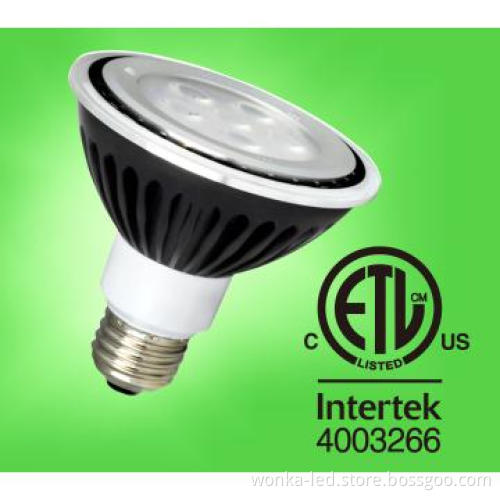 Dimmable PAR 30 for hotel lighting or other LED Project Lighting